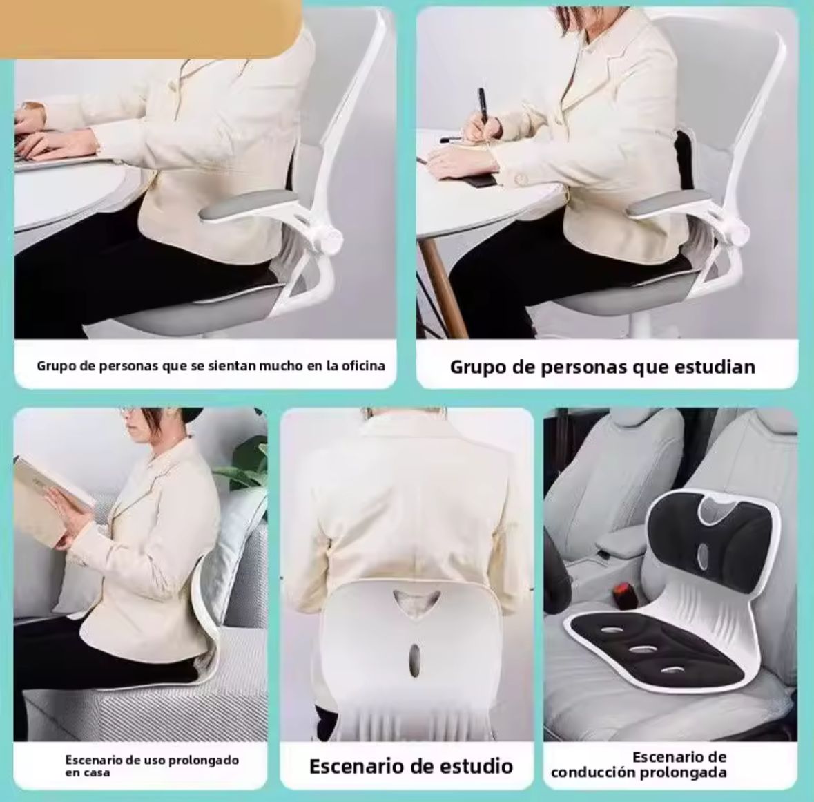 Protector Lumbar Cintura Asiento Correcto
