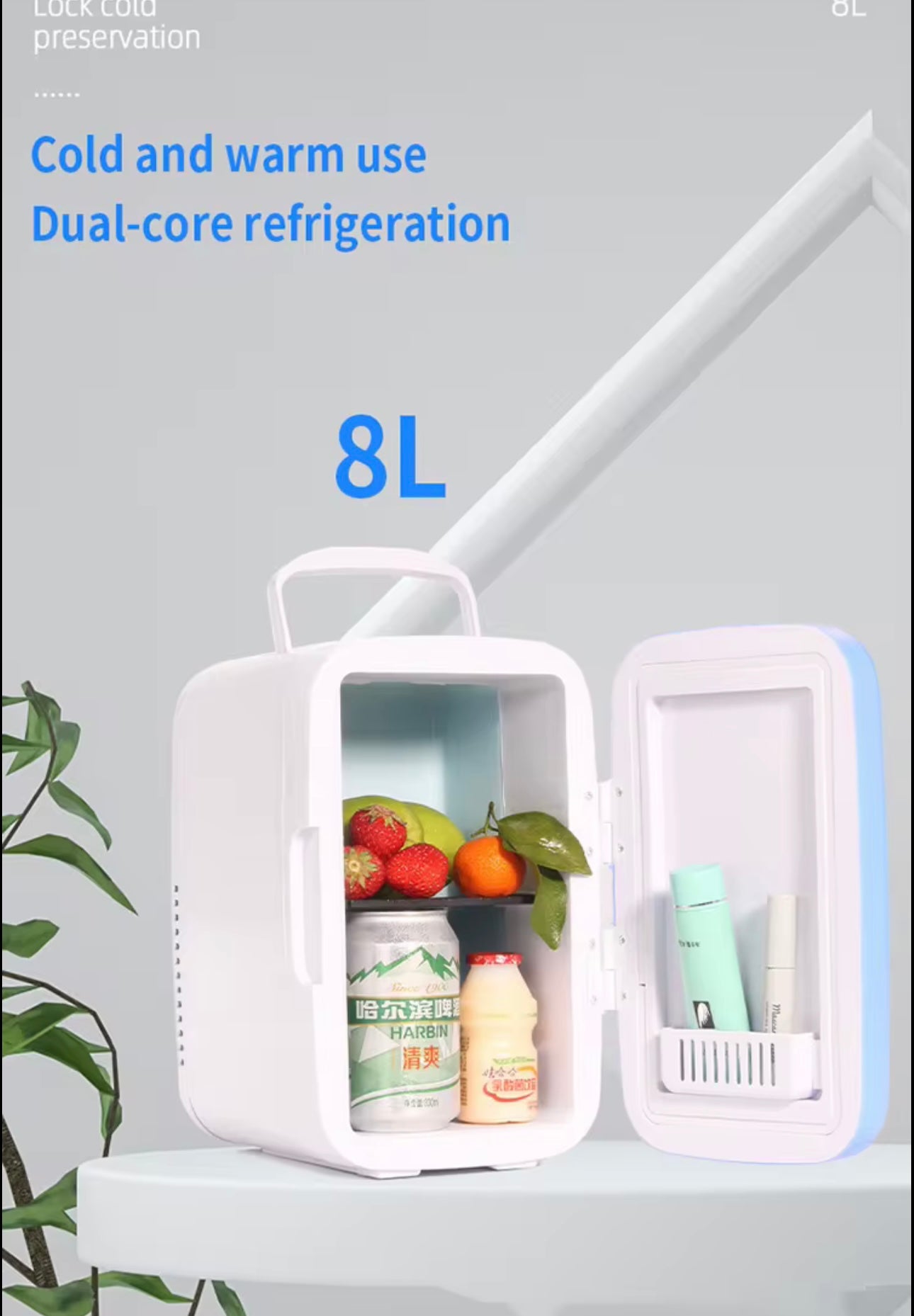 Refrigerador Para Carro de 8 litros