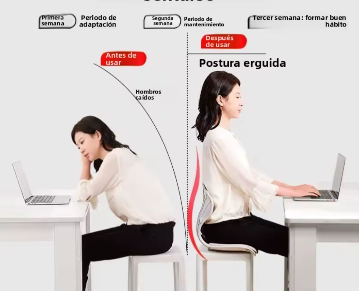 Protector Lumbar Cintura Asiento Correcto